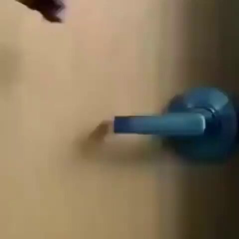 Embedded video